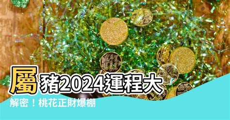 屬豬幾歲虛歲|【屬豬虛歲幾歲】2024年屬豬虛歲幾歲？快看你的財運、幸運色。